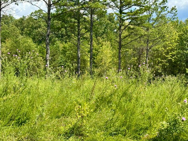 424-Tract 6 W 577 Highway, Manchester, KY 40962