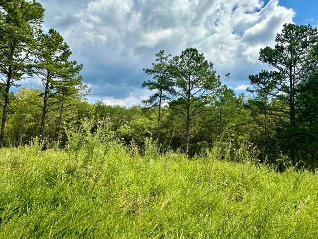 424-Tract 6 W 577 Highway, Manchester, KY 40962