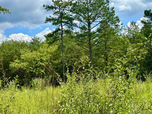 424-Tract 6 W 577 Highway, Manchester, KY 40962