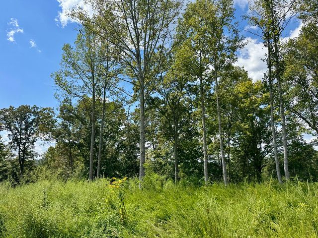 424-Tract 6 W 577 Highway, Manchester, KY 40962