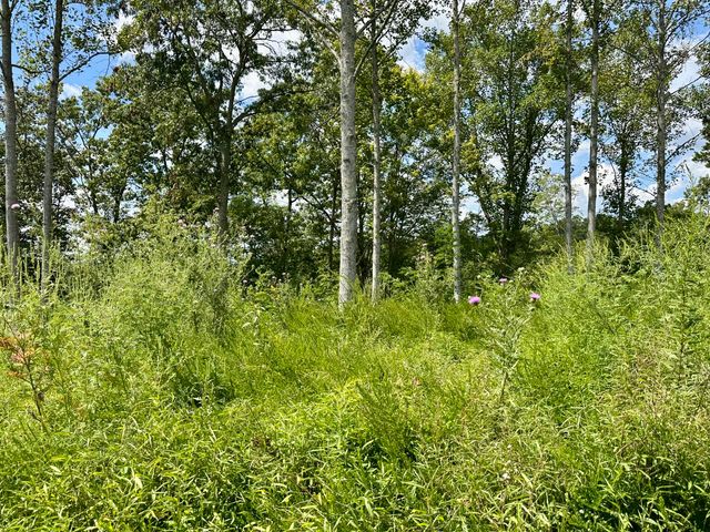 424-Tract 6 W 577 Highway, Manchester, KY 40962