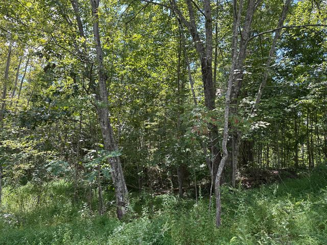 424-Tract 6 W 577 Highway, Manchester, KY 40962