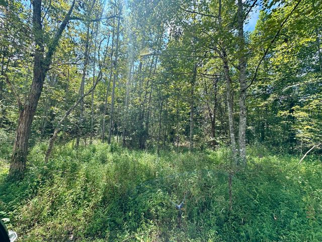 424-Tract 6 W 577 Highway, Manchester, KY 40962