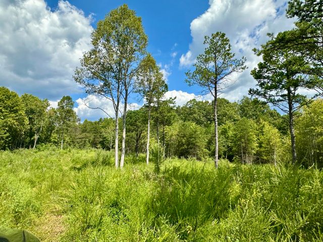 424-Tract 6 W 577 Highway, Manchester, KY 40962