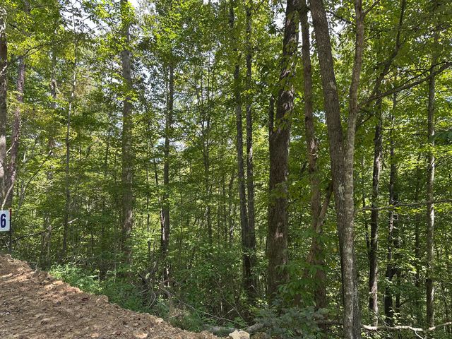 424-Tract 6 W 577 Highway, Manchester, KY 40962