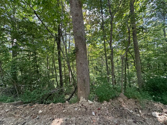 424-Tract 6 W 577 Highway, Manchester, KY 40962