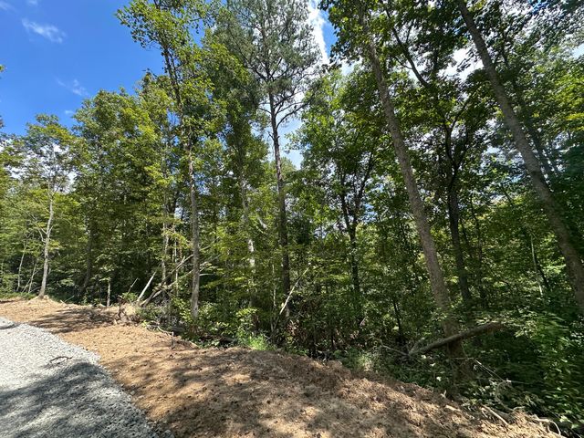 424-Tract 6 W 577 Highway, Manchester, KY 40962