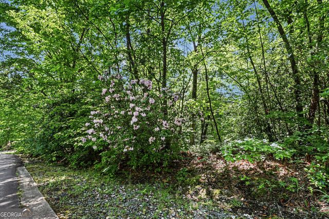 595 Whispering Dale Drive, Clarkesville, GA 30523