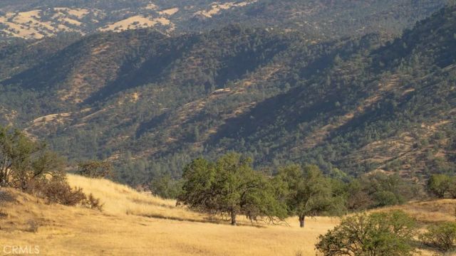 47069 Crump Lane, Coalinga, CA 93210