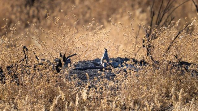 47069 Crump Lane, Coalinga, CA 93210