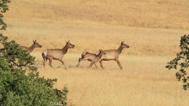 47069 Crump Lane, Coalinga, CA 93210