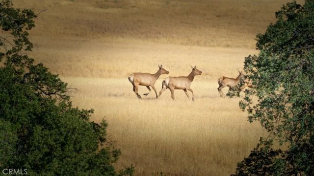 47069 Crump Lane, Coalinga, CA 93210