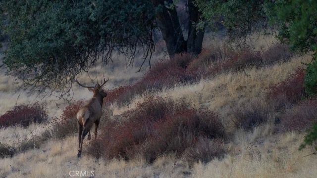 47069 Crump Lane, Coalinga, CA 93210