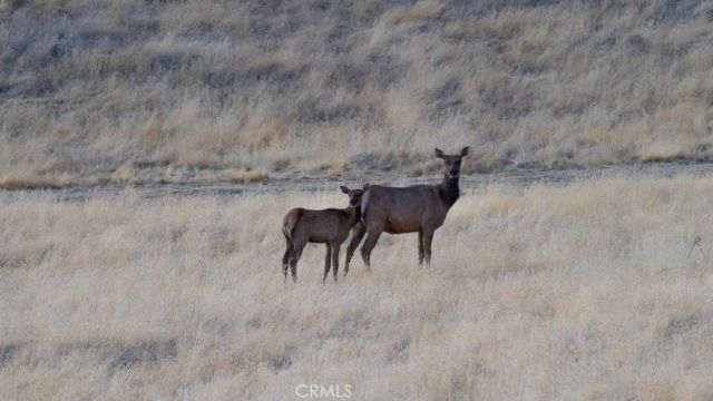 47069 Crump Lane, Coalinga, CA 93210