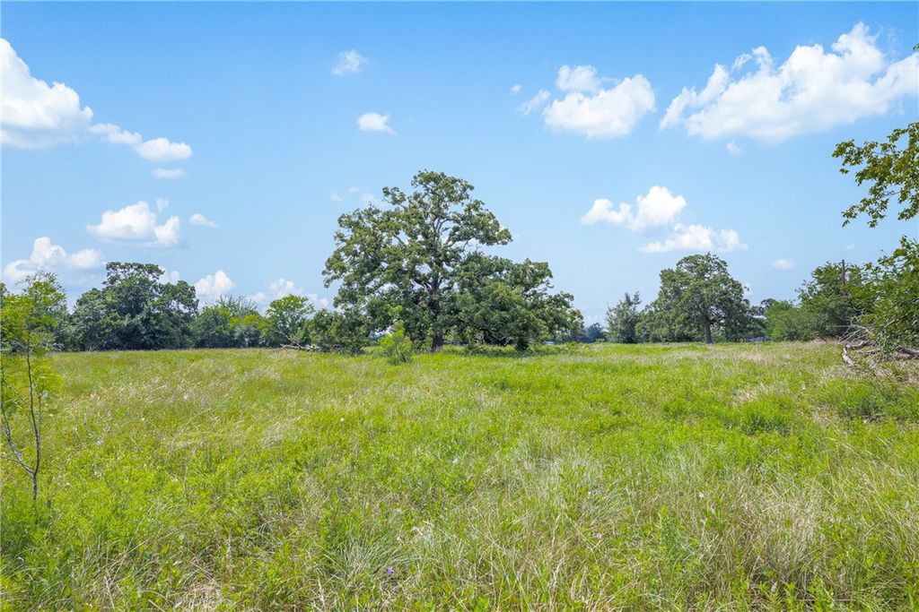 11504 North Dowling Road, College Station, TX 77845 — photo 3