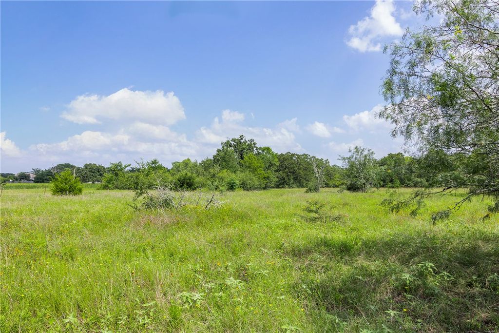 11504 North Dowling Road, College Station, TX 77845 — photo 4