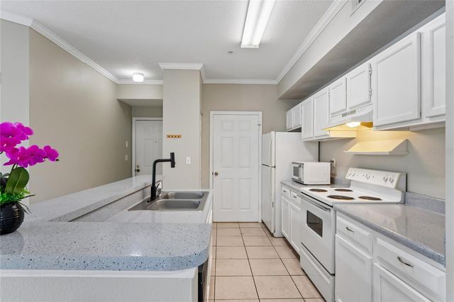 5618 PINNACLE HEIGHTS CIRCLE 309, Tampa, FL 33624