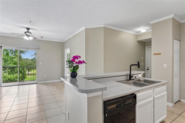 5618 PINNACLE HEIGHTS CIRCLE 309, Tampa, FL 33624