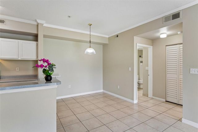 5618 PINNACLE HEIGHTS CIRCLE 309, Tampa, FL 33624
