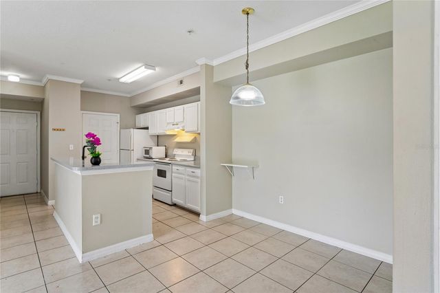 5618 PINNACLE HEIGHTS CIRCLE 309, Tampa, FL 33624