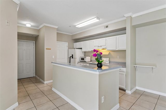5618 PINNACLE HEIGHTS CIRCLE 309, Tampa, FL 33624