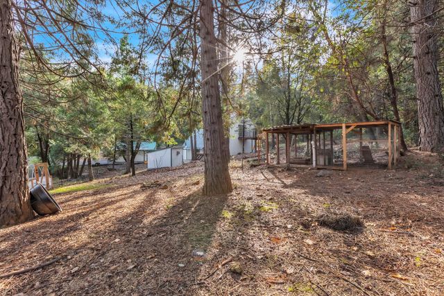 23568 Robin Rd, Pioneer, CA 95666