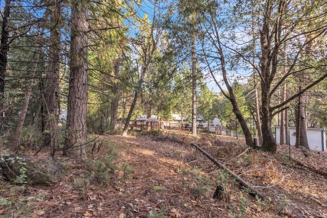 23568 Robin Rd, Pioneer, CA 95666