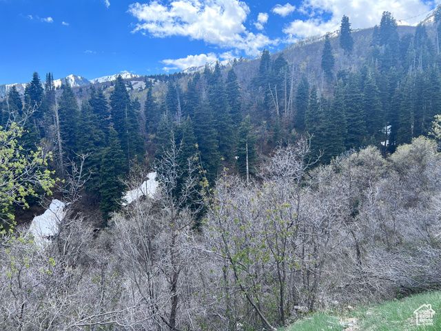 162 N UPPER OAKWOOD DR, Springville, UT 84663