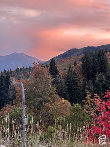 162 N UPPER OAKWOOD DR, Springville, UT 84663