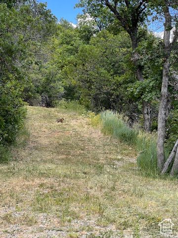 162 N UPPER OAKWOOD DR, Springville, UT 84663