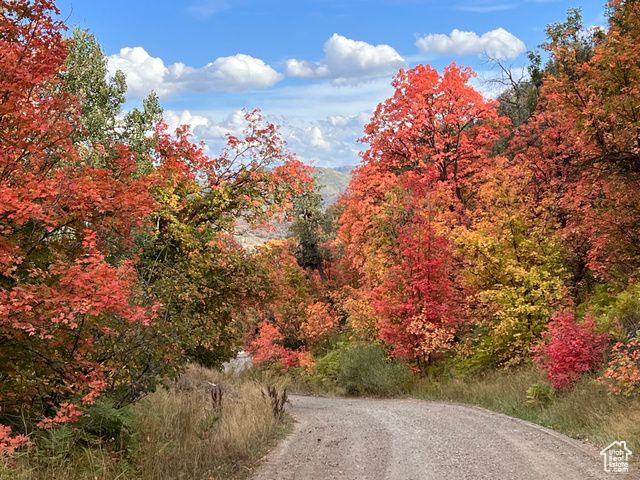 162 N UPPER OAKWOOD DR, Springville, UT 84663