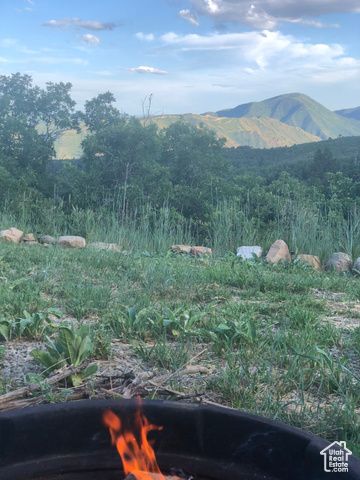 162 N UPPER OAKWOOD DR, Springville, UT 84663