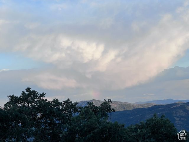 162 N UPPER OAKWOOD DR, Springville, UT 84663