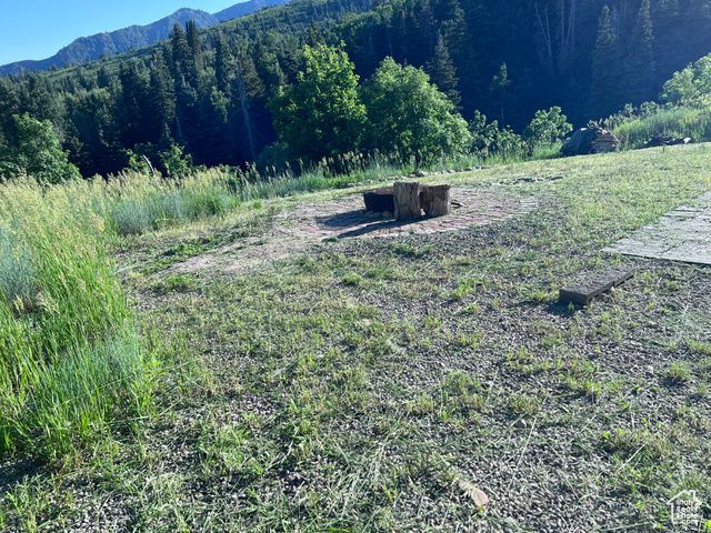 162 N UPPER OAKWOOD DR, Springville, UT 84663