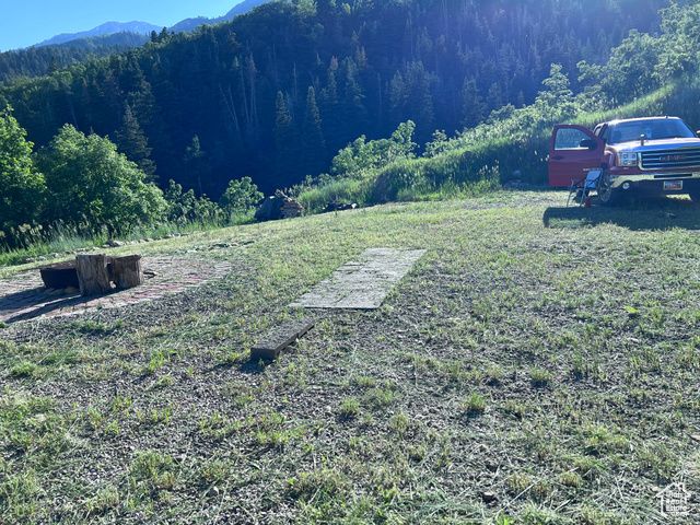 162 N UPPER OAKWOOD DR, Springville, UT 84663
