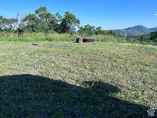 162 N UPPER OAKWOOD DR, Springville, UT 84663