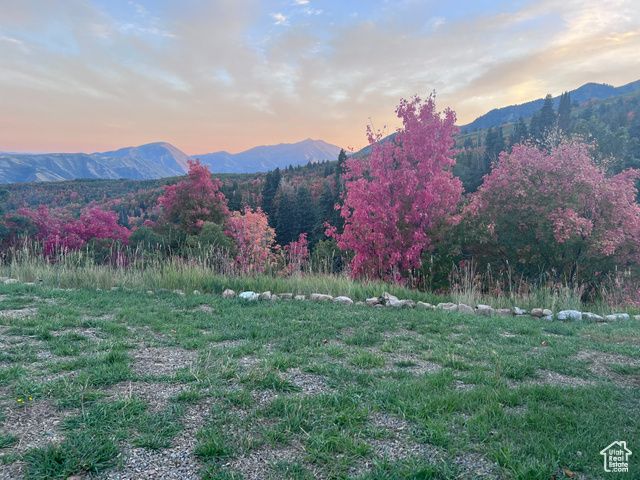 162 N UPPER OAKWOOD DR, Springville, UT 84663