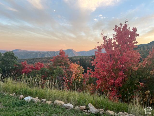 162 N UPPER OAKWOOD DR, Springville, UT 84663