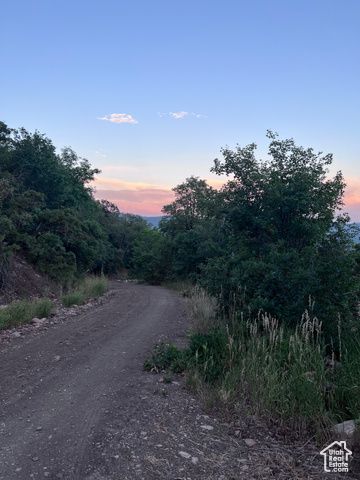 162 N UPPER OAKWOOD DR, Springville, UT 84663