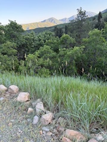 162 N UPPER OAKWOOD DR, Springville, UT 84663