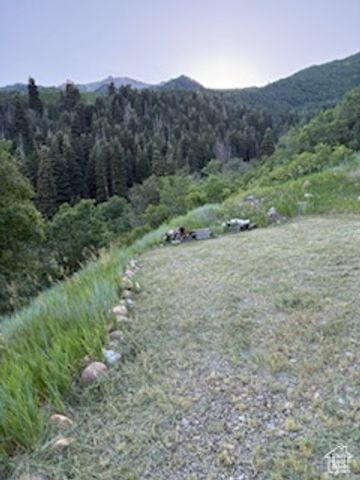 162 N UPPER OAKWOOD DR, Springville, UT 84663