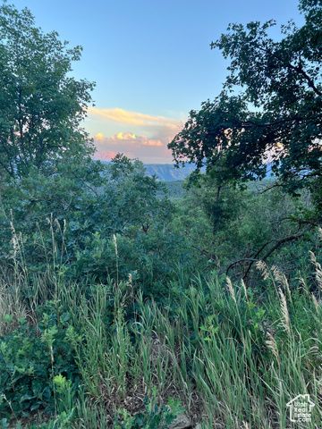 162 N UPPER OAKWOOD DR, Springville, UT 84663