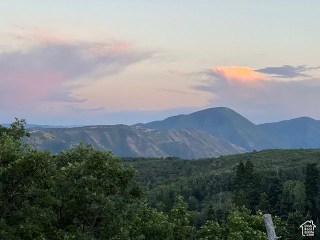 162 N UPPER OAKWOOD DR, Springville, UT 84663