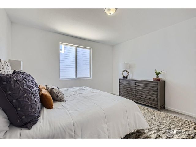 648 Noola St, Windsor, CO 80550