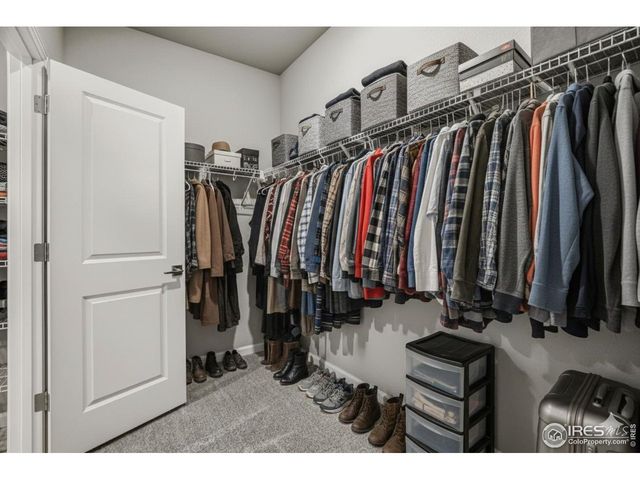 648 Noola St, Windsor, CO 80550