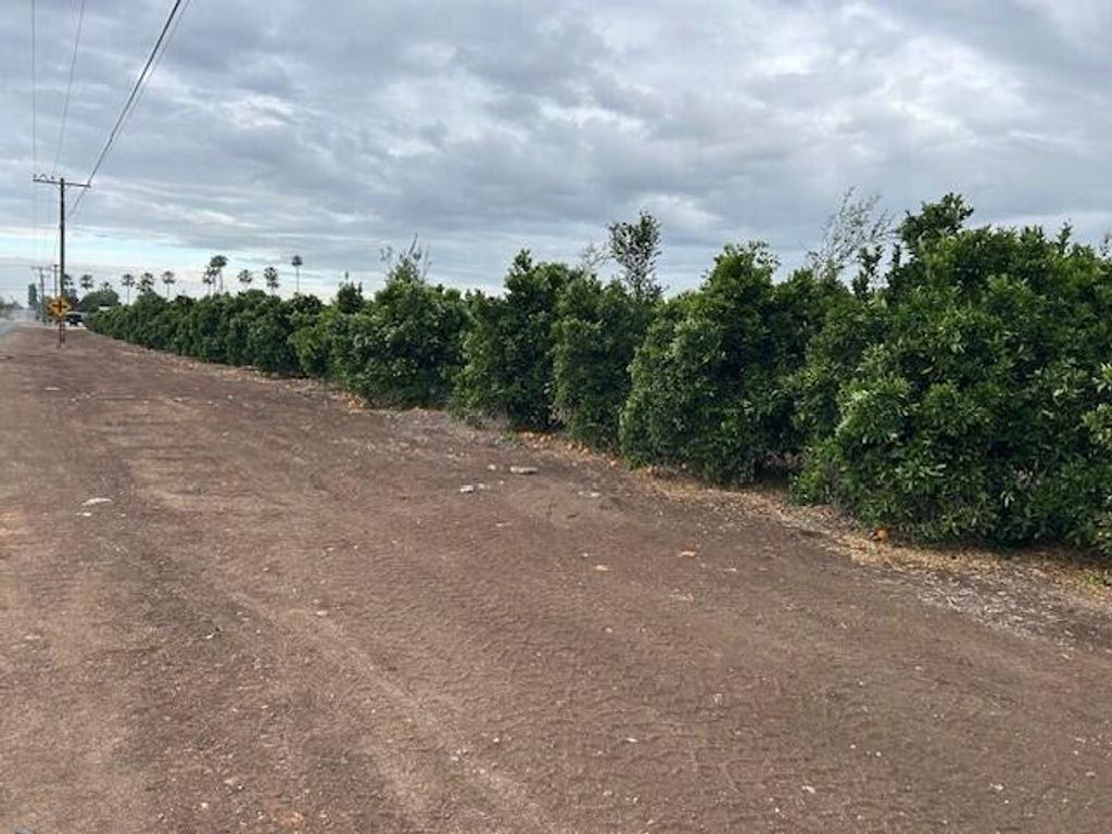 Image 1 of property listing at Ave 88 And Rd 264, Terra Bella, CA 93270