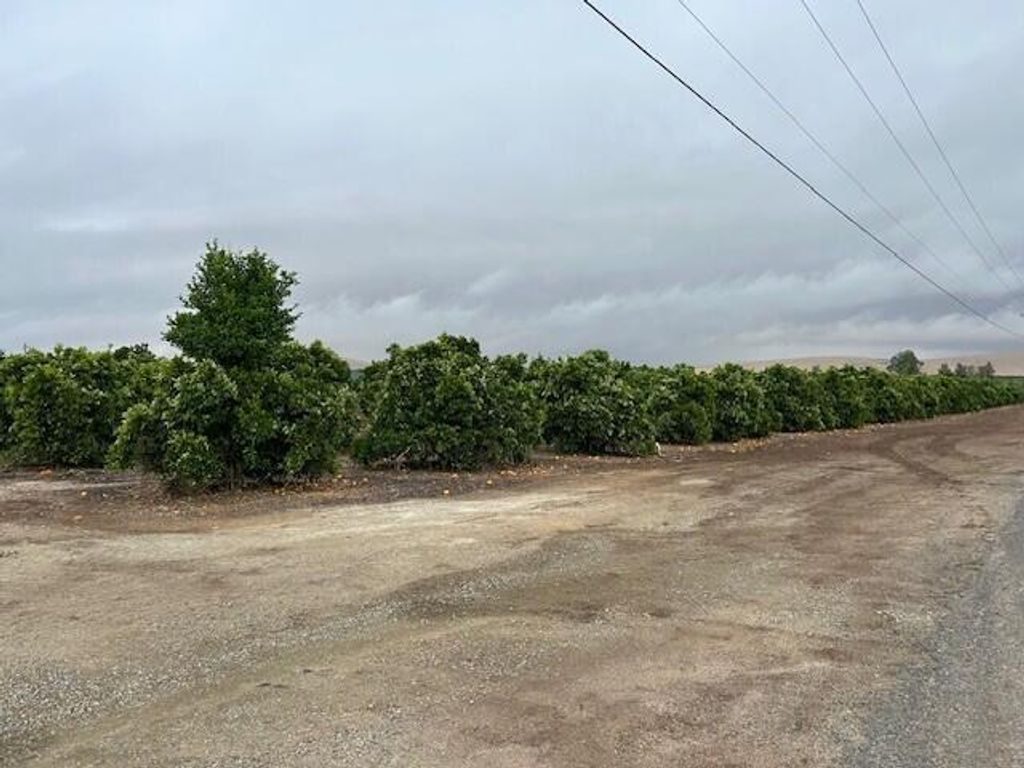 Image 2 of property listing at Ave 88 And Rd 264, Terra Bella, CA 93270