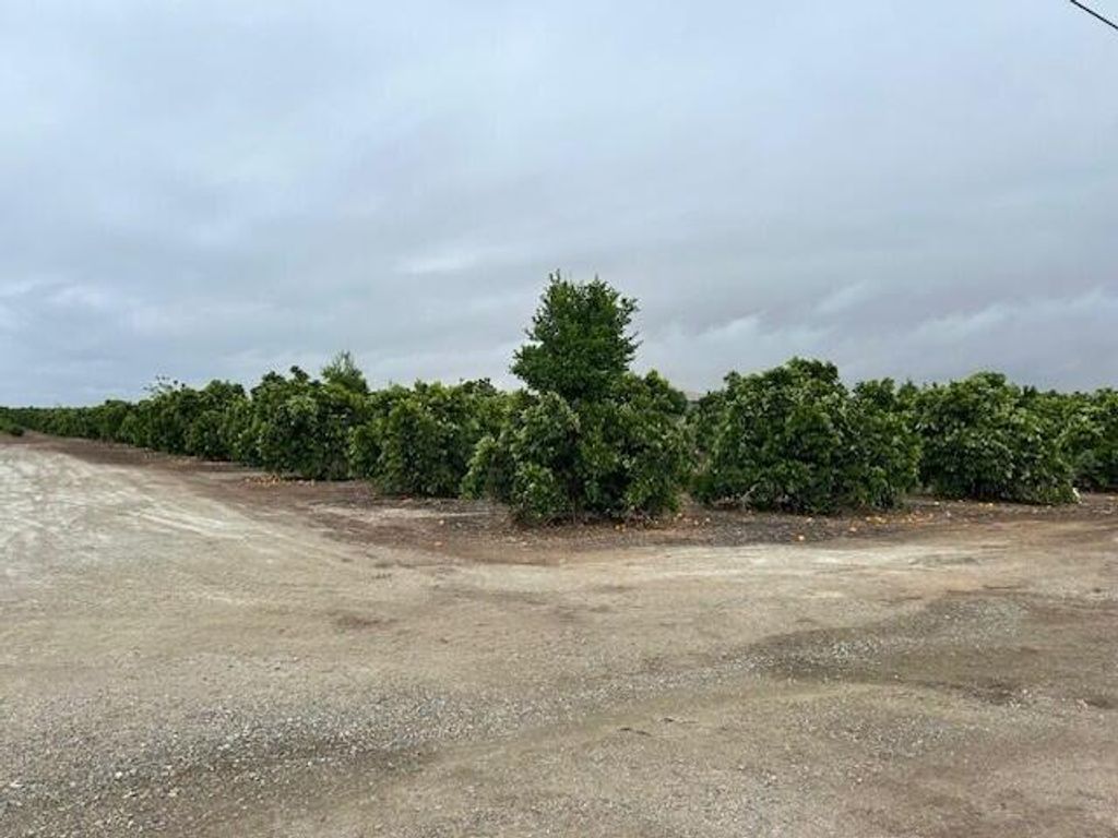 Image 3 of property listing at Ave 88 And Rd 264, Terra Bella, CA 93270