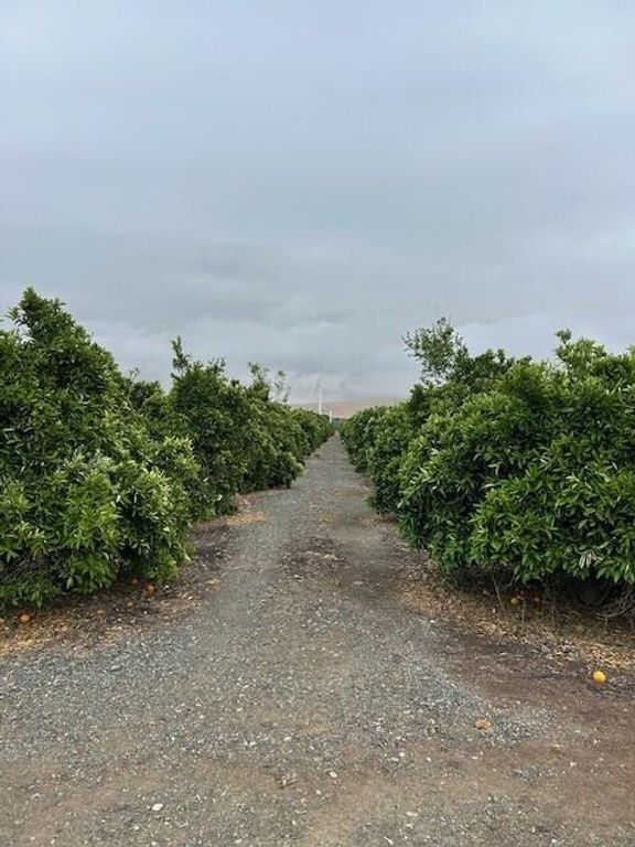 Image 5 of property listing at Ave 88 And Rd 264, Terra Bella, CA 93270