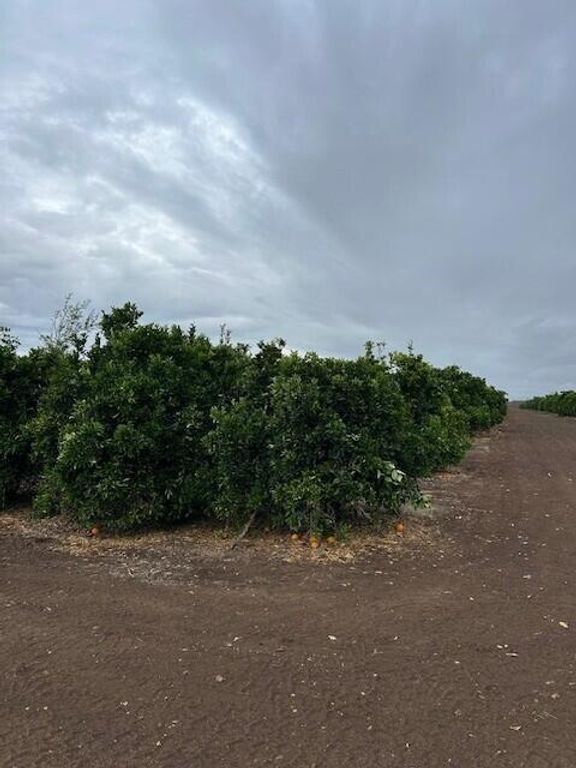 Image 8 of property listing at Ave 88 And Rd 264, Terra Bella, CA 93270